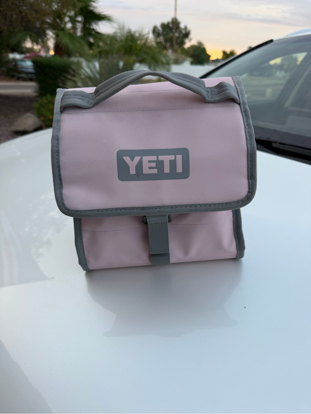 Yeti Pink and Gray Insulated Toiletry/Lunch Bag with Top Handle